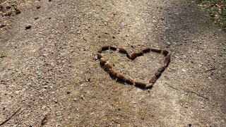 Bonnie mit Herz aus Tannenzapfen